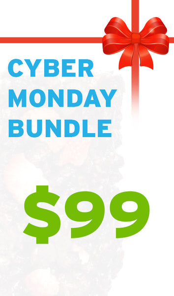 Rocco's Cyber Monday Bundle